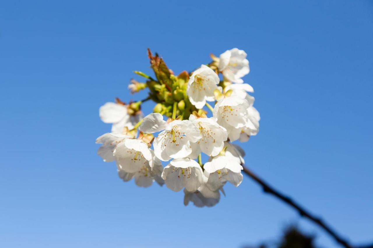 Villarejo del Valle La Higuera 빌라 외부 사진