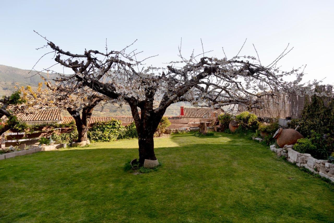 Villarejo del Valle La Higuera 빌라 외부 사진